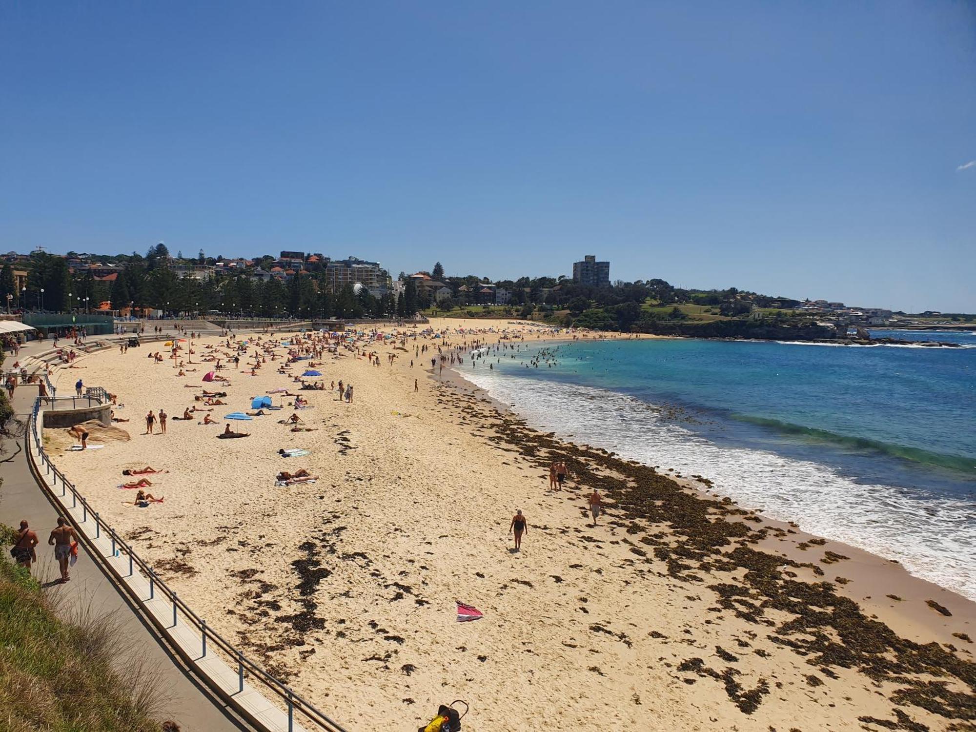 Podbed Coogee Beachside Sídney Exterior foto